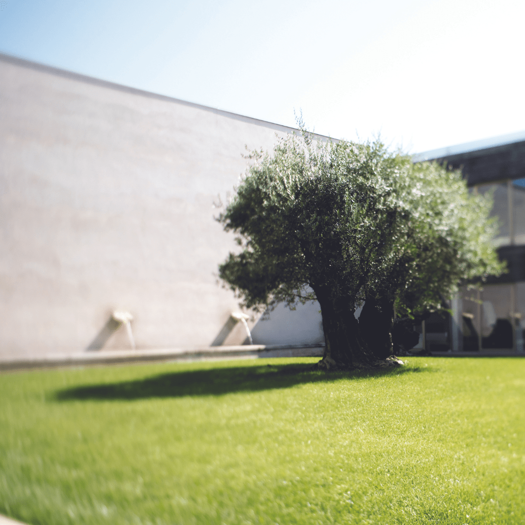 Italiaanse Fyto-Cosmetica